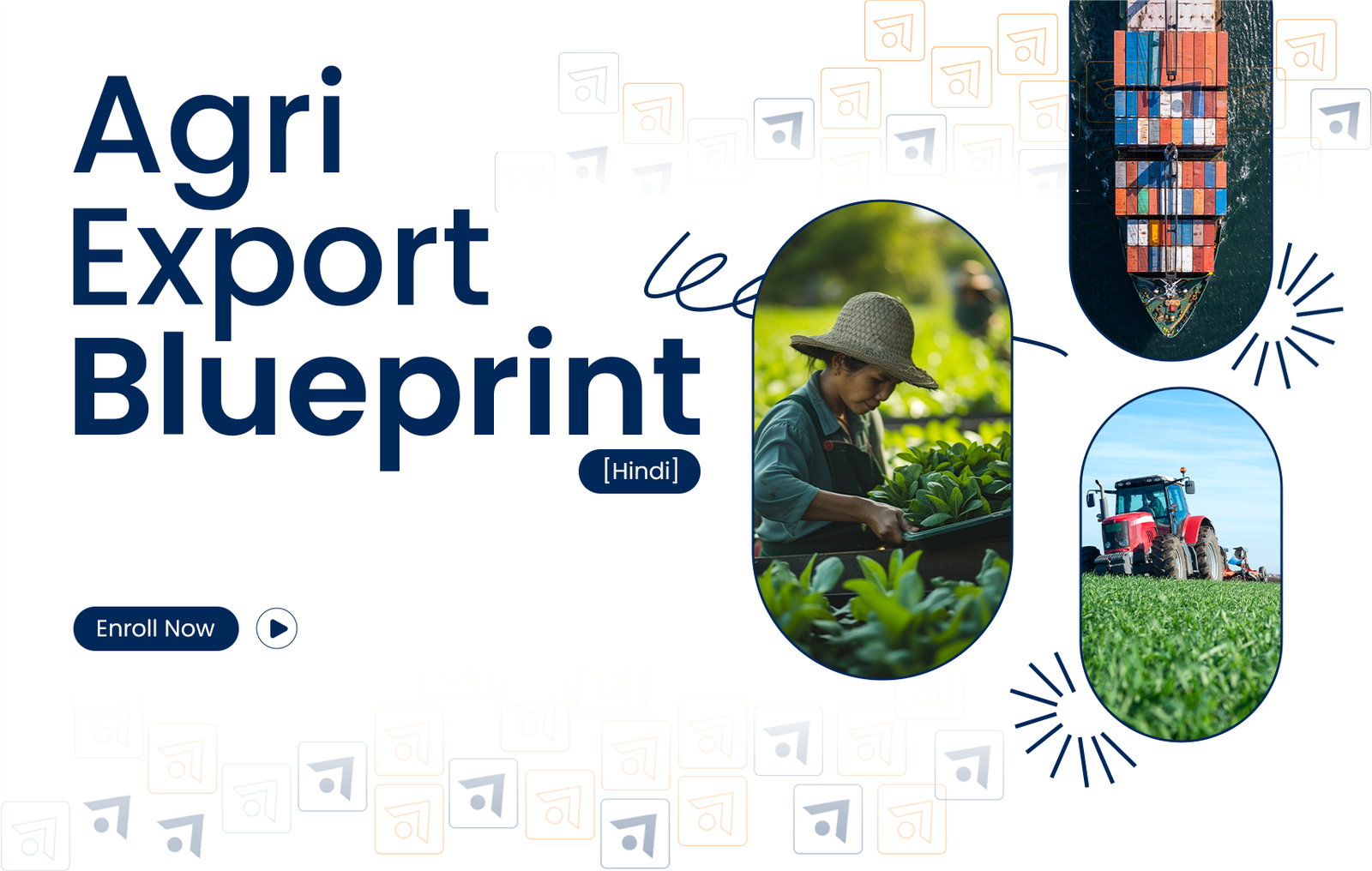 AGRI Export Blueprint Hindi