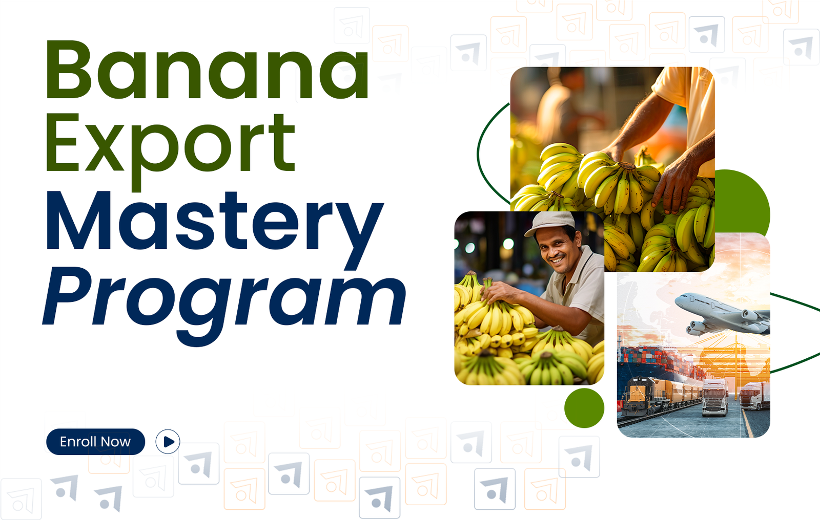 Banana Export Mastery Program