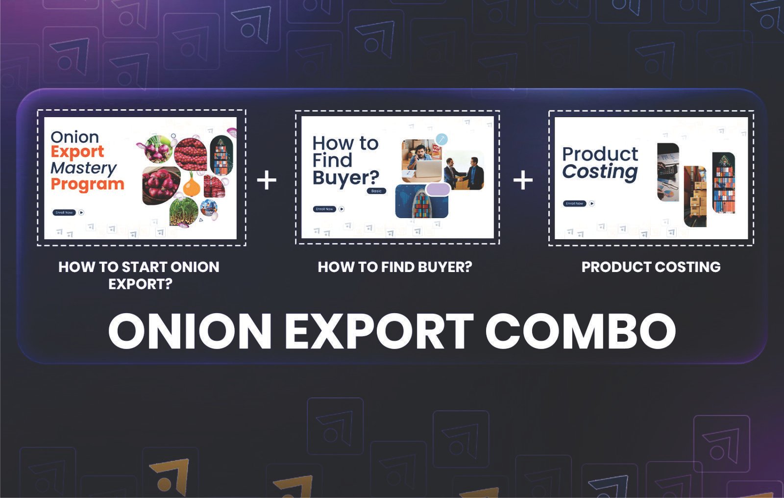 Combo for Onion Export