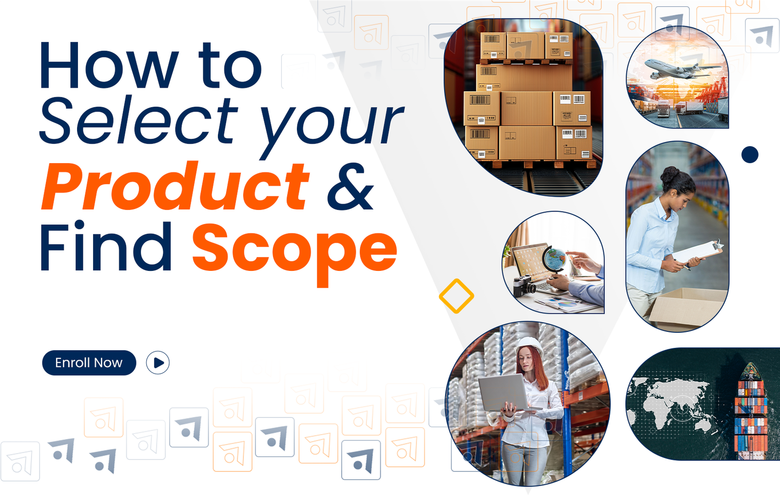 How to Select Your Product for Export and Find Scope