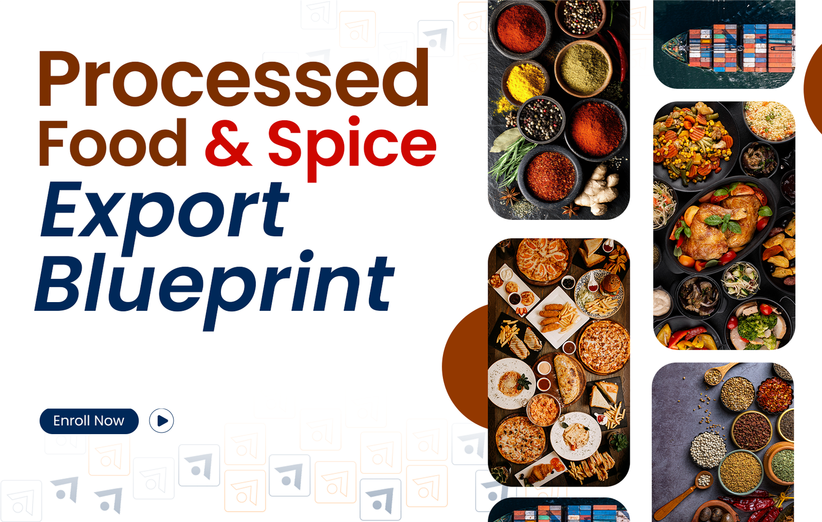 Processed Food and Spice Export Blueprint